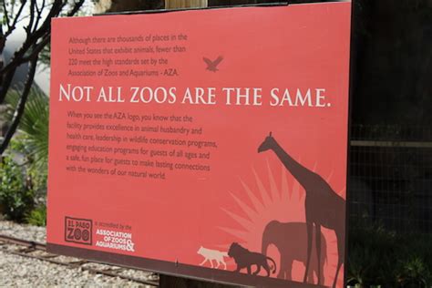 Penguins chilling in the desert? El Paso zoo creating $3 million home