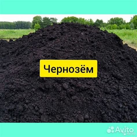 Чернозем, Навоз, Перегной купить в Рязани | Товары для дома и дачи | Авито