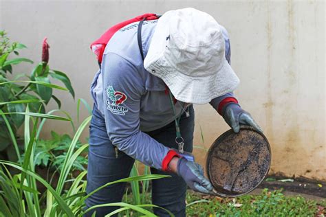 Cianorte Ultrapassa A Barreira Dos Tr S Mil Casos De Dengue Em