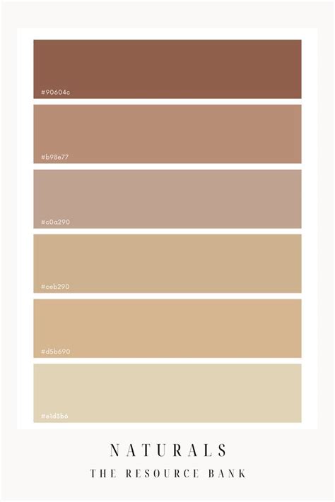 Natural Nude Colour Palette Earth Colour Palette Nude Color Palette Tan Color Palette