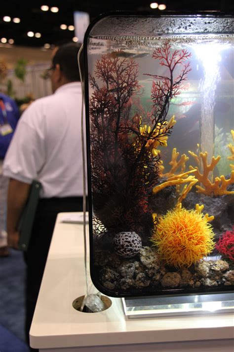 Up Close with biOrb Flow