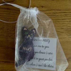 Pocket Hug Pocket Friend Buddy Felt Pussy Cat In Organza Bag With A Special Message Etsy