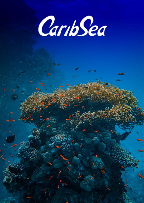 CaribSea - Velocity International