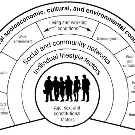 Social Determinants Of Health Download Scientific Diagram