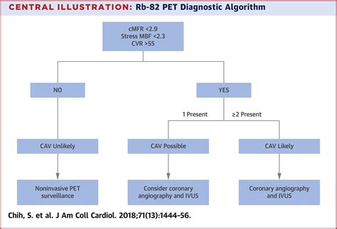 PET Assessment Of Epicardial Intimal Disease And Microvascular