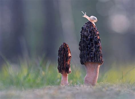Небоскребы небоскребы а я маленький такой...