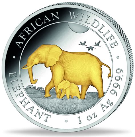 Shilling Elefant Mit Goldveredelung Silber M Nzen Versandhaus