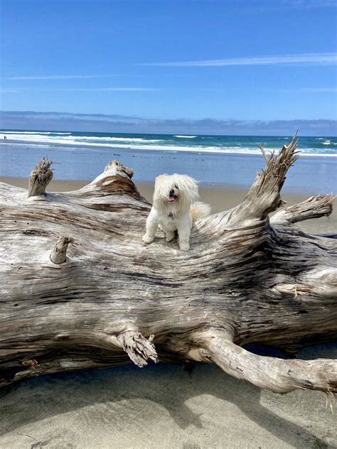 Roads End State Recreation Site — Eco Akamai