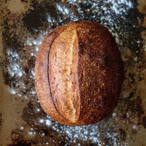 Don't waste it! 10 ways to use leftover sourdough bread – Milk and Pop