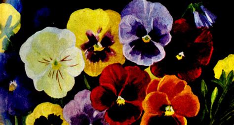 Цветоводство (Тавлинова Г.К.)