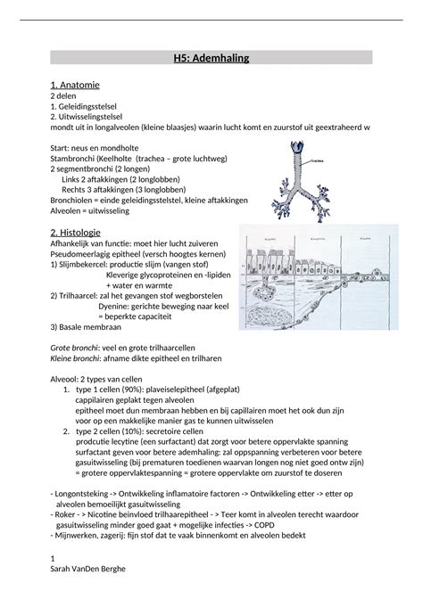 Samenvatting Fysiologie Calders H Het Ademhalingsstelsel Algemene