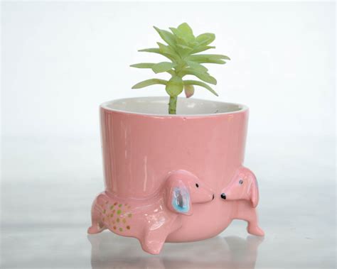 Planter Dog Ceramic Dachshund Planter T Dachshund Sculpture Etsy