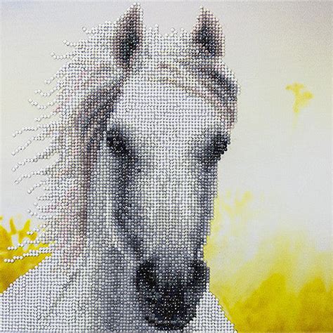 Leisure Art Diamond Dotz Painting White Horse Kit 50461 – Good's Store ...