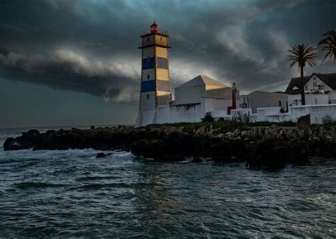 fin de images browse  stock  vectors  video