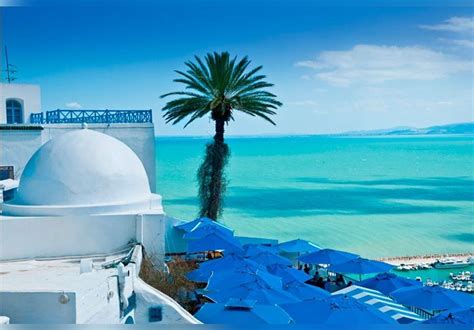 4 choses à faire à Sidi Bou Saïd