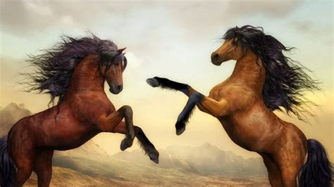 national horse day   horse   based   sun sign