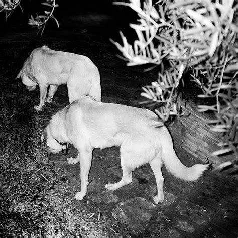 DD-MM-YYYY - Kostis Argyriadis - SEEN Magazine