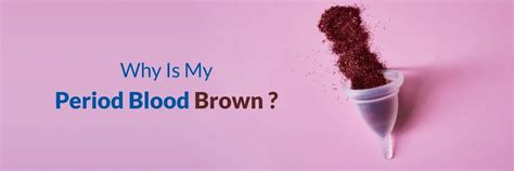 Week After Period Brown Blood