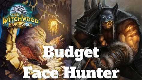 Best Hunter Deck In The Witchwood Budget Version Hearthstone