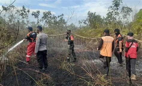 Titik Panas Masih Terdeteksi Di Hutan Kaltim Meski Musim Hujan Indoposco