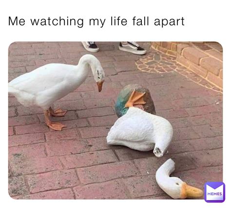 Me Watching My Life Fall Apart Nessas Memes
