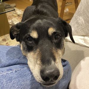 Fuck Bitches Get Money Playlist By Ashashort Spotify