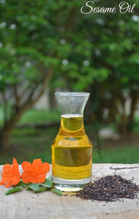 10 Top Good Cholesterol Foods That Increases HDL - Wildturmeric