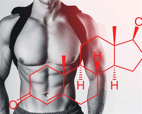 Anabolic steroids and their impact on body composition
