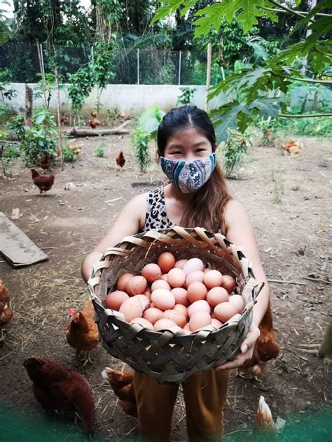 Egg Stra Good Couple Raises Free Range Chickens As The First Step To Self Sufficiency