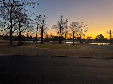 honey bee golf club 4