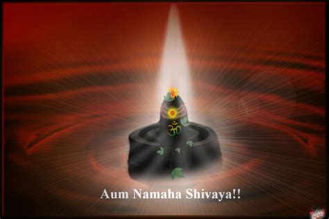 Words of My Soul......For My Swami: Aum Namaha Shivaya!!!