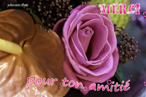 Cartes Virtuelles Merci Rose Joliecarte