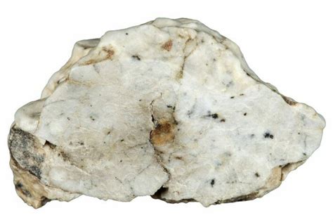 70 Aubrite Meteorite End Cut 154 G Djoua 001 283669 For Sale