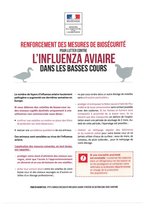 Renforcement Des Mesures Pour Lutter L Influenza Aviaire Dans Les