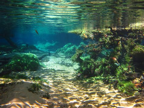 Underwater River Pictures