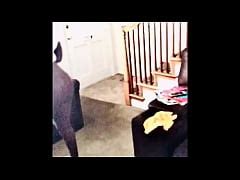 Miss Hershey Taking Dick And Playing With Dat Pussy Xxx Mobile Porno Videos Movies IPornTV Net