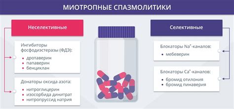 Спазмолитики: что это, их виды, применение и нюансы выбора ...
