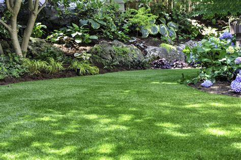 How to choose the right type of grass for your lawn Canopy Lawn Care