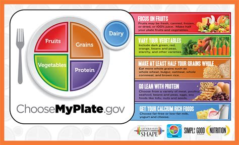 Ernährungsempfehlungen: „My Plate“ löst Pyramide ab