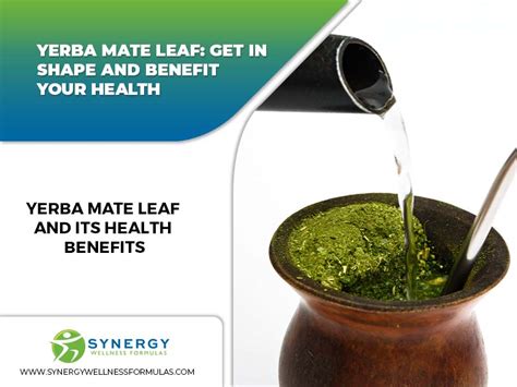 Health Benefits Yerba Mate At Michael Goodwin Blog