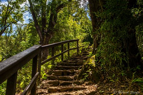 Pipiwai Trail at Maui, Hawaii - Hawaii on a Map