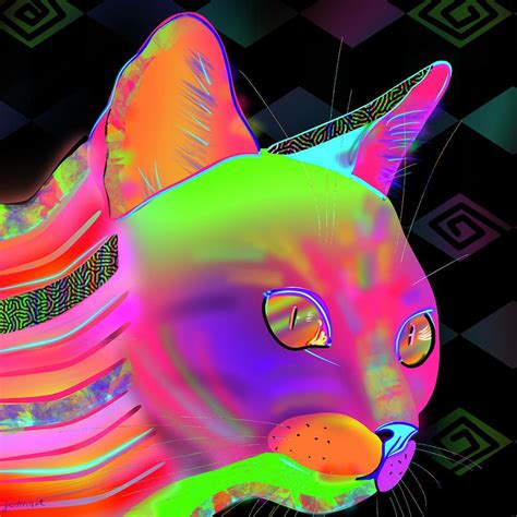 Neon Cat Wallpapers - 4k, HD Neon Cat Backgrounds on WallpaperBat