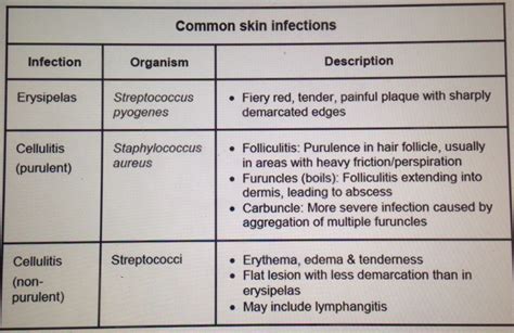 Cellulitis In Kids - Blog