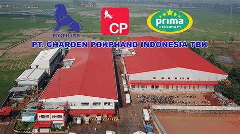 pt charoen pokphand perumperindocoid