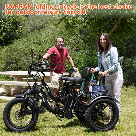 Narrak 48V 750W13AH 20 X4 0 Fat Tire Folding Electric Tricycle Model