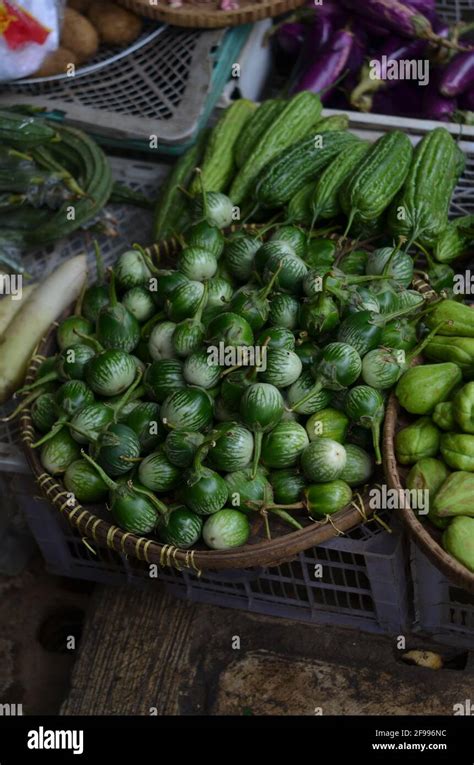 A collection of round green eggplant vegetables Stock Photo - Alamy