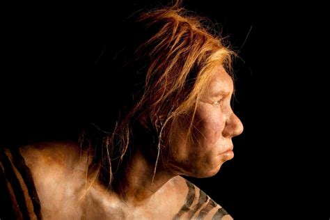 A compelling book about the end of the Neanderthals is a rare treat ...