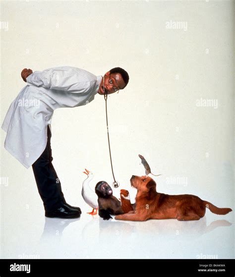 DR DOLITTLE -1998 EDDIE MURPHY Stock Photo - Alamy