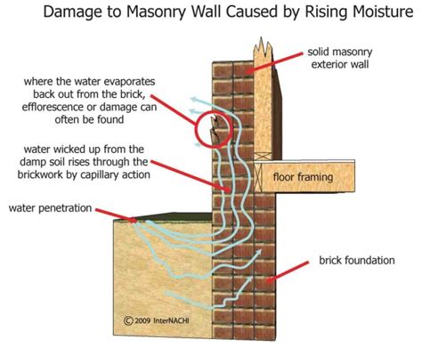 Efflorescence for Inspectors - InterNACHI®