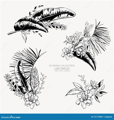 Vector Monochrome Set Of Tropical Leaves Exotic Natural Vintage Stock